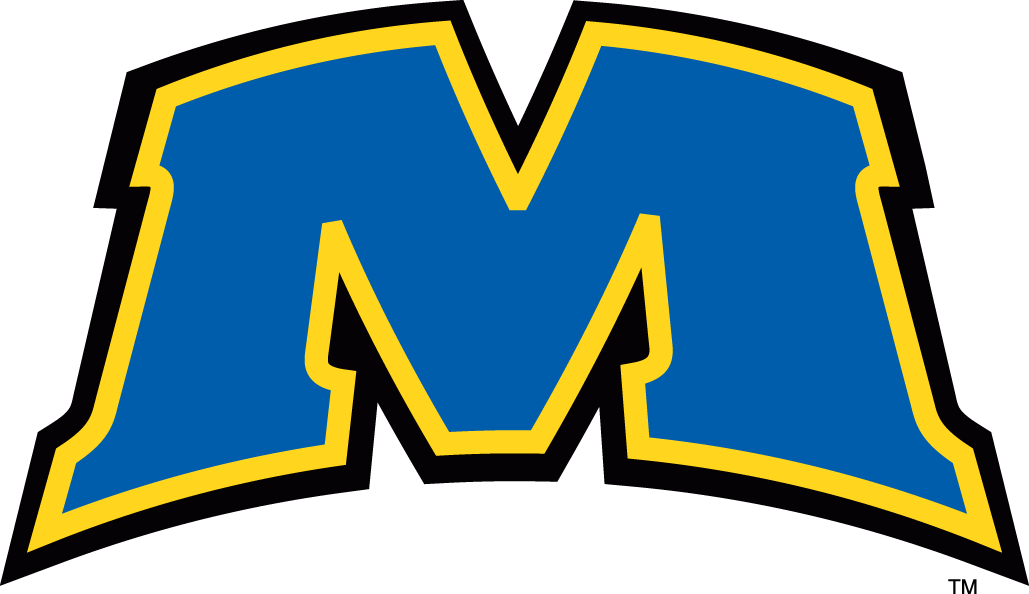 Morehead State Eagles 2005-Pres Alternate Logo diy iron on heat transfer
